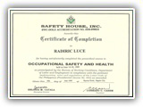 OCCUPATIONAL SAFETY & HEALTH (OSH)