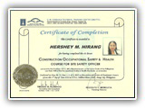 CONSTRUCTION OCCUPATIONAL SAFETY & HEALTH